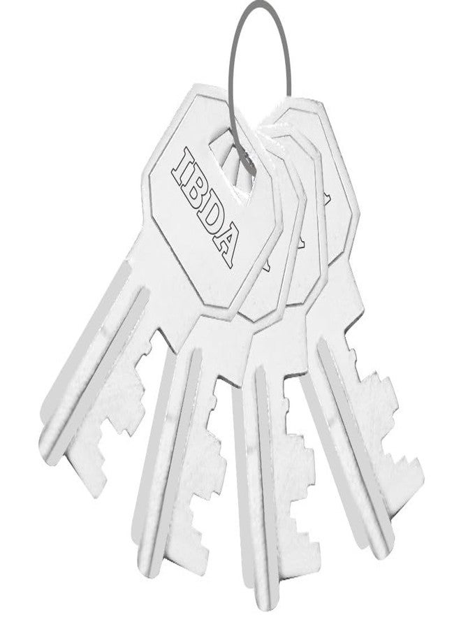 IBDA قفلان من نوع IBDA بمفتاح واحد | أقفال متعددة بمفتاح واحد | قفل بمفتاح مشترك | هيكل فولاذي | قفل للمنزل، والستائر، والبوابات، والأبواب، والمتاجر، والأماكن الخارجية | طقم قفل بمفتاح واحد مكون من قطعتين مع 4 مفاتيح (KNT-4CK-02) - Image 4